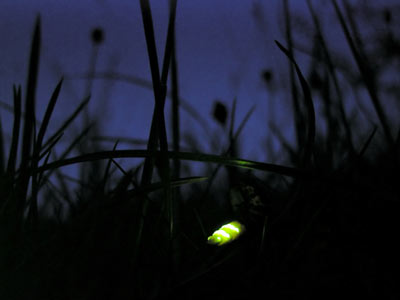 700_280 att-3484