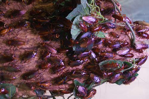 700_280 att-11327