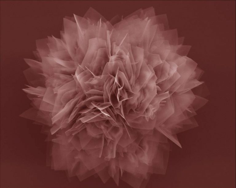 Nanoflor