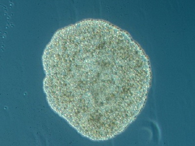 700_280 att-18255