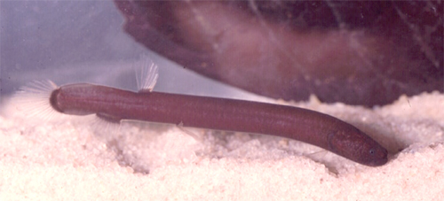 700_280 att-24821