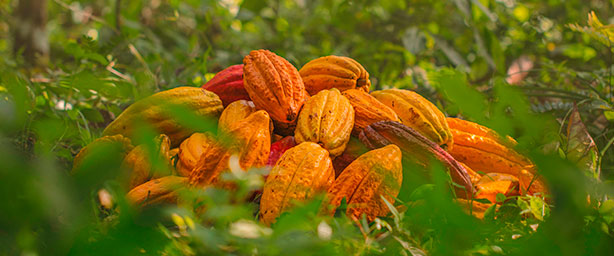 700_280 att-28392
