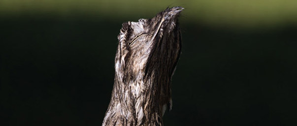 700_280 att-29510