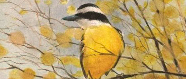 700_280 att-31367