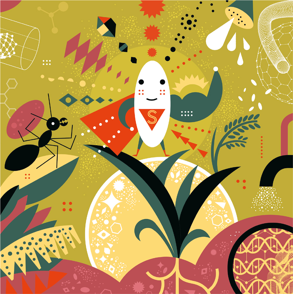 O arroz, as formigas e a nanotecnologia